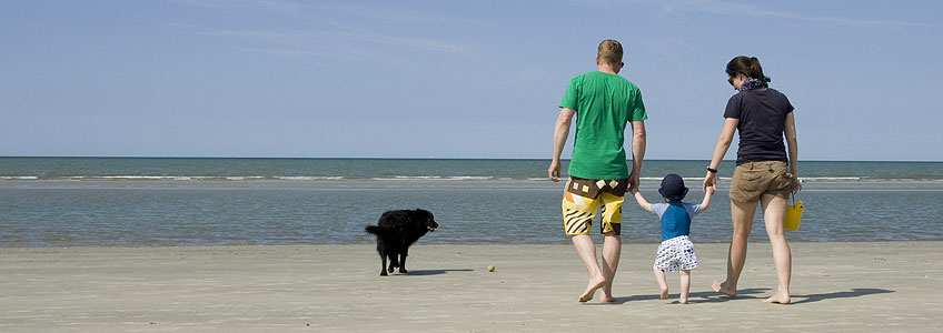 Urlaub mit Hund im Hotel Juister Hof