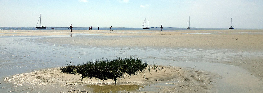 Wattenmeer